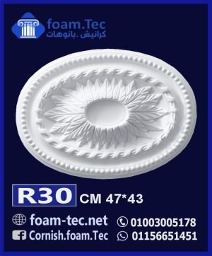 سرر اسقف فيوتك-foam.Tec -R30--الابعاد: ( 47*43 ) cm